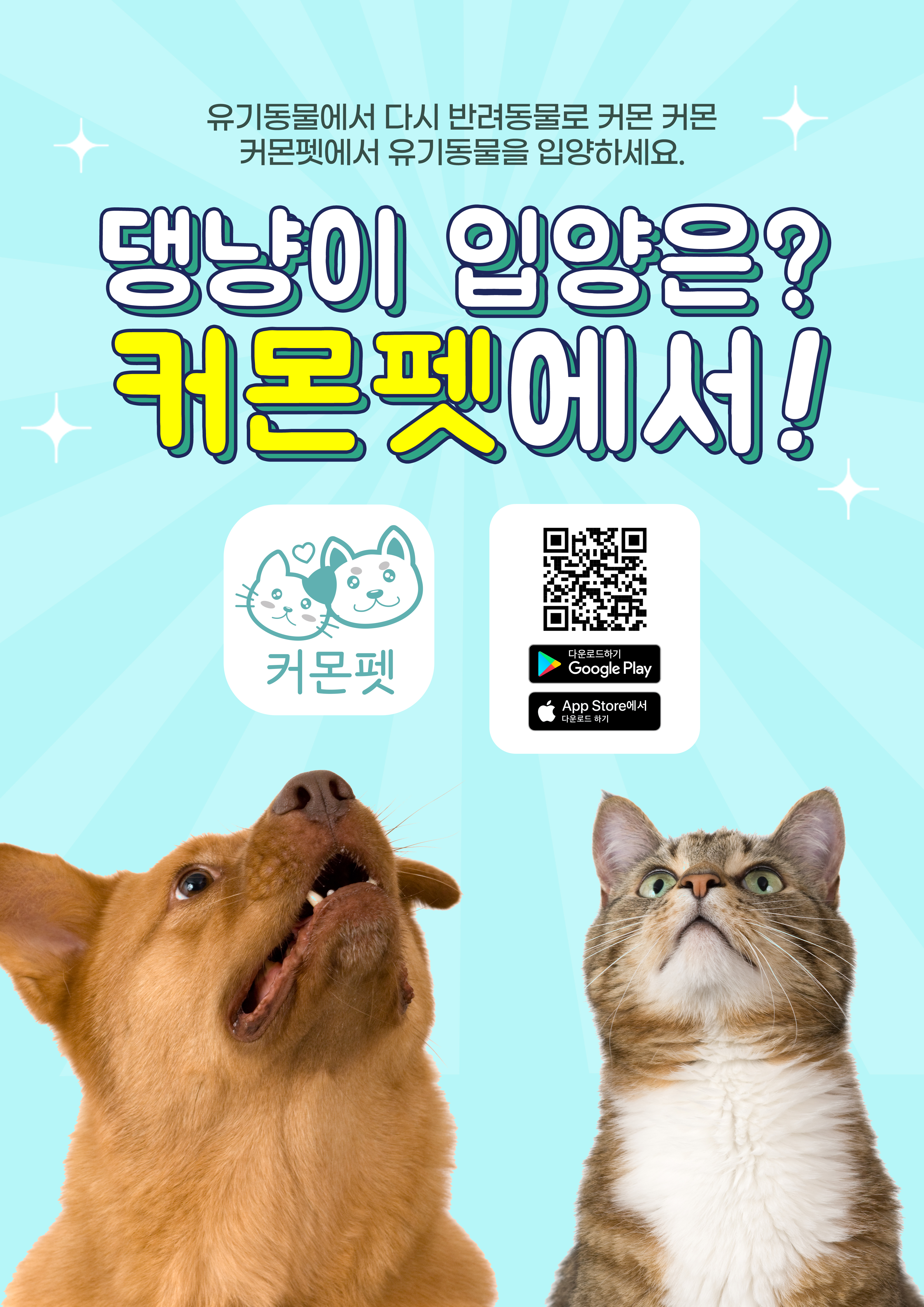 커몬펫소개